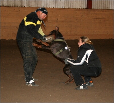 Training in Estonia 11/2007